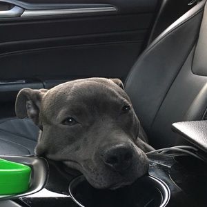 Meet your Posher, Kaylee